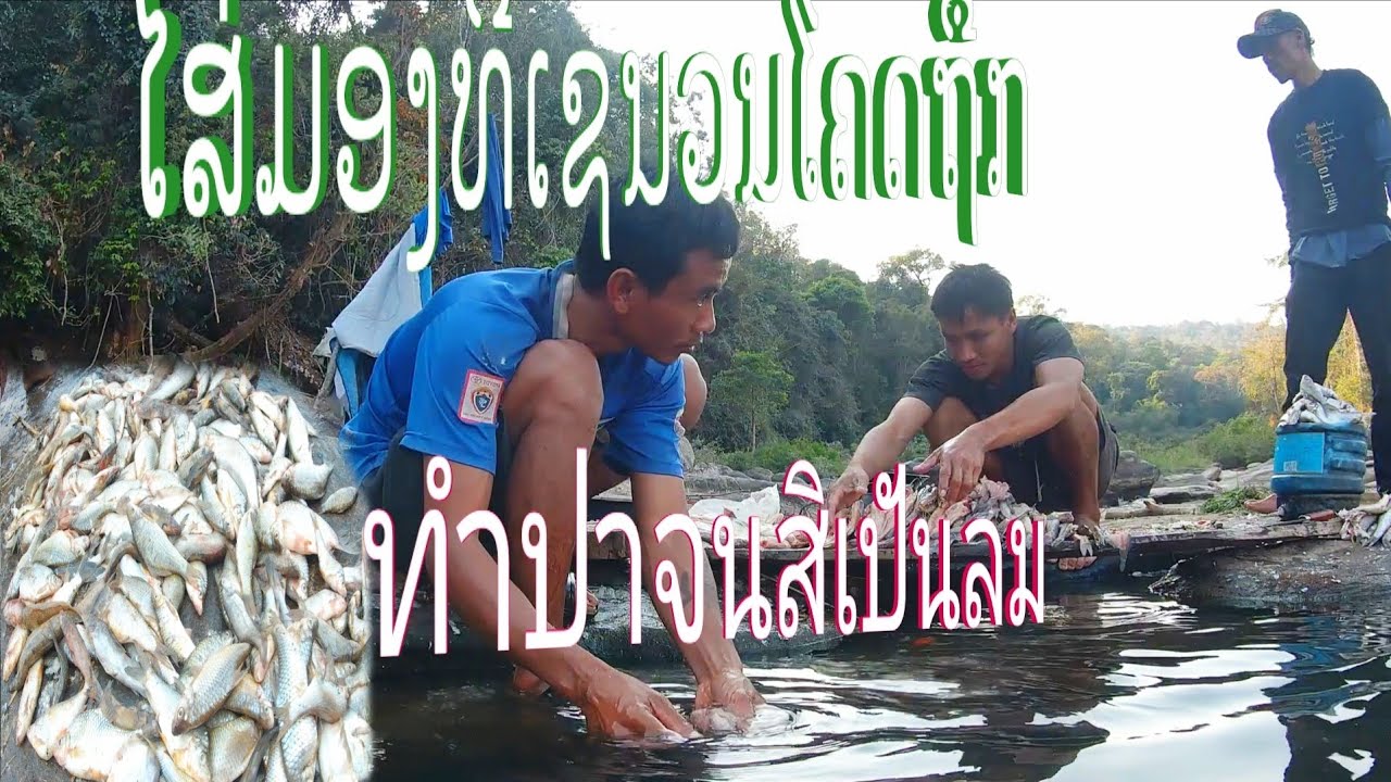 คัวปาสามคนเกือบบ่อไหว//ຄົວປາສາມຄົນເກືອບບໍ່ໄຫວ//พราน ทองแท้//20.ก.พ.2026