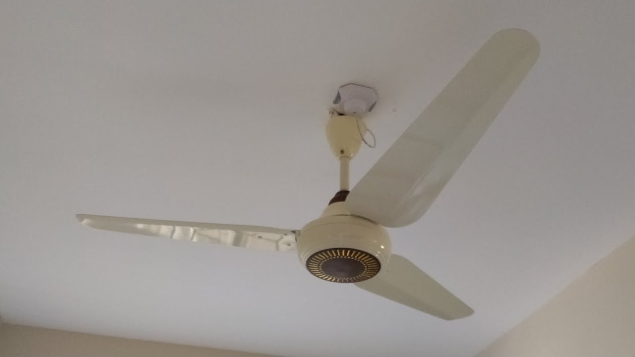 NEW FAN: 56