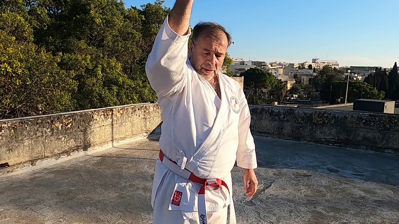 HEIAN GODAN  (step  by  step)