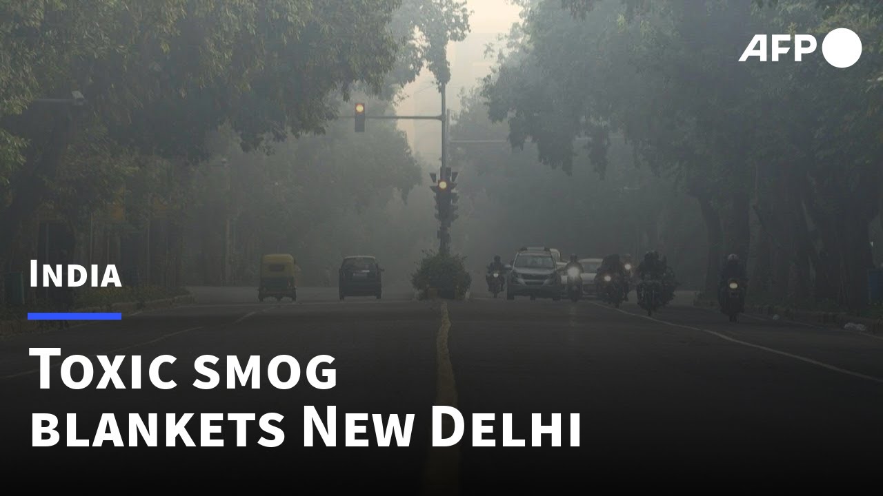 'Difficult to breathe': Schools closed in smog-hit Delhi | AFP