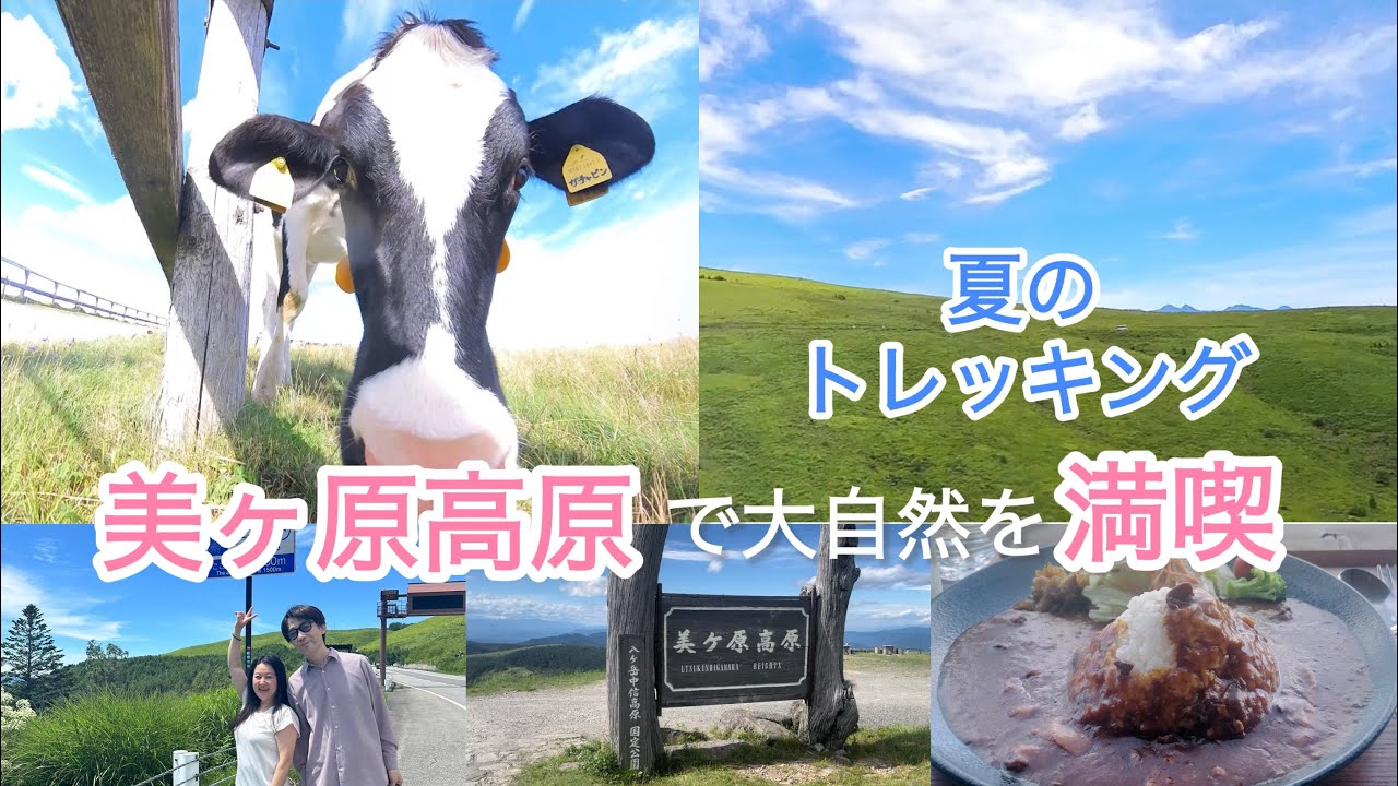 【チル旅】ビーナスラインを走り美ヶ原高原へ｜王ヶ頭ホテルの絶景テラスでカレーを味わう