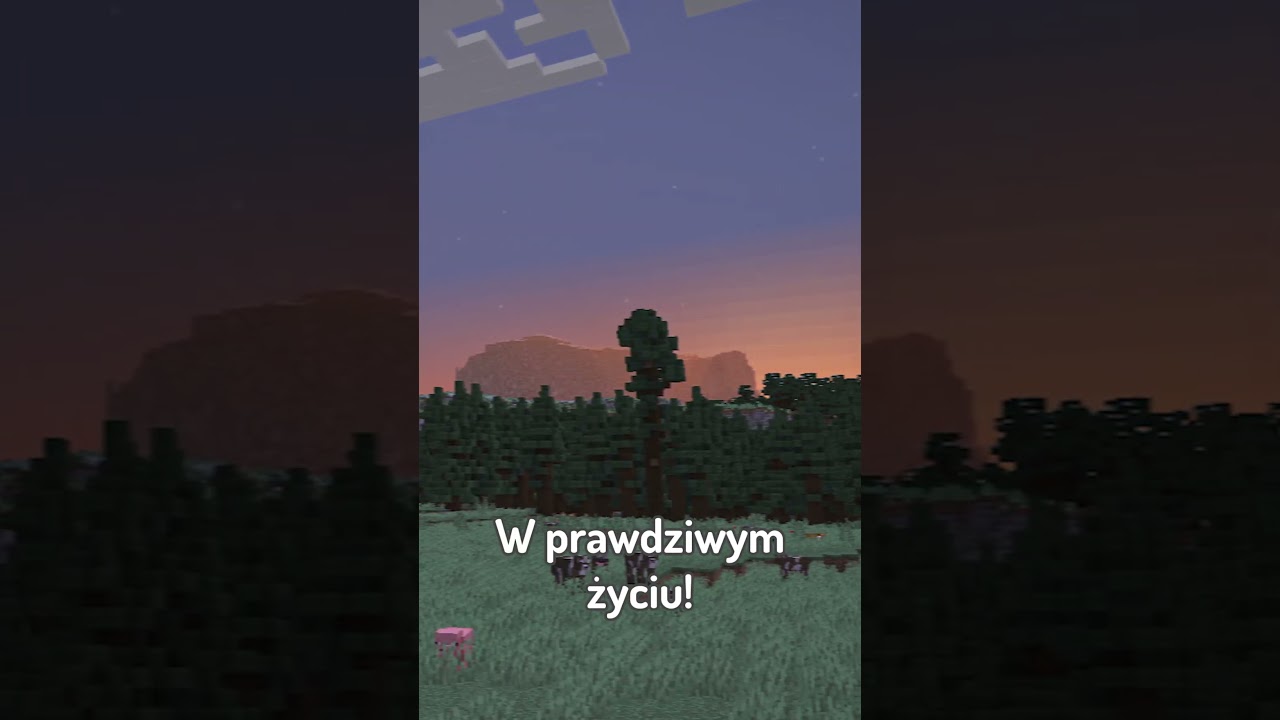 Najlepsze MODYFIKACJE na NUDY w Minecraft!