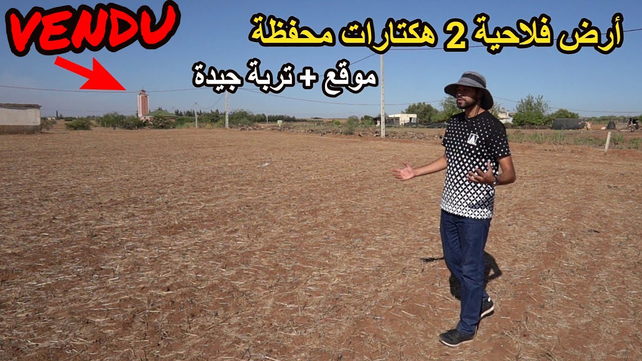 ✨ أرض فلاحية 2 هكتارات محفظة بموقع جميل وتربة خصبة مسطحة بالكامل ✨ تيفلت