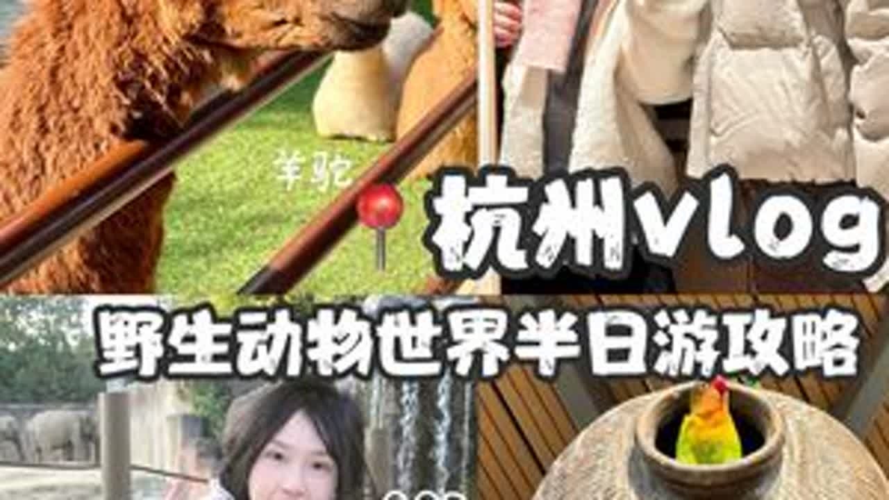 周末去杭州野生动物世界怎么玩🐻·杭州vlog#vlog #杭州野生动物世界 #杭州周末去哪玩 #恋爱日常