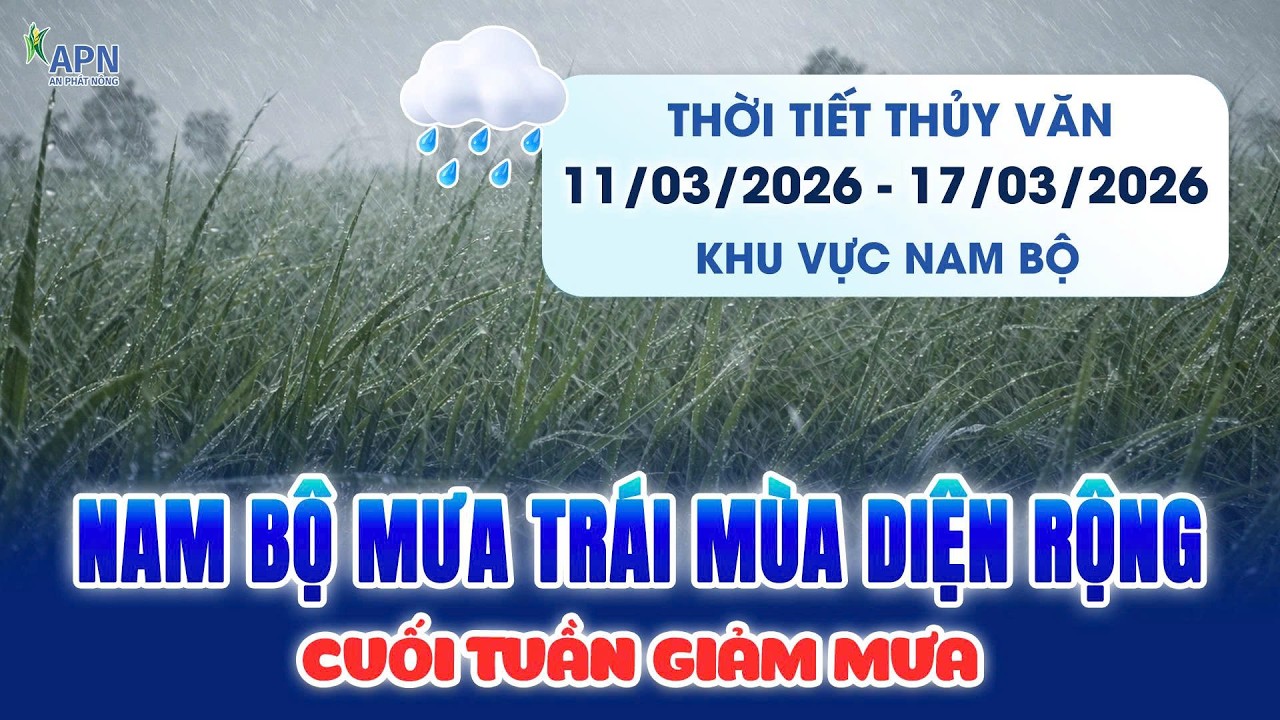 APN - MƯA TRÁI MÙA DIỆN RỘNG | THỜI TIẾT THUỶ VĂN TỪ 11/03 ĐẾN 17/03/2026
