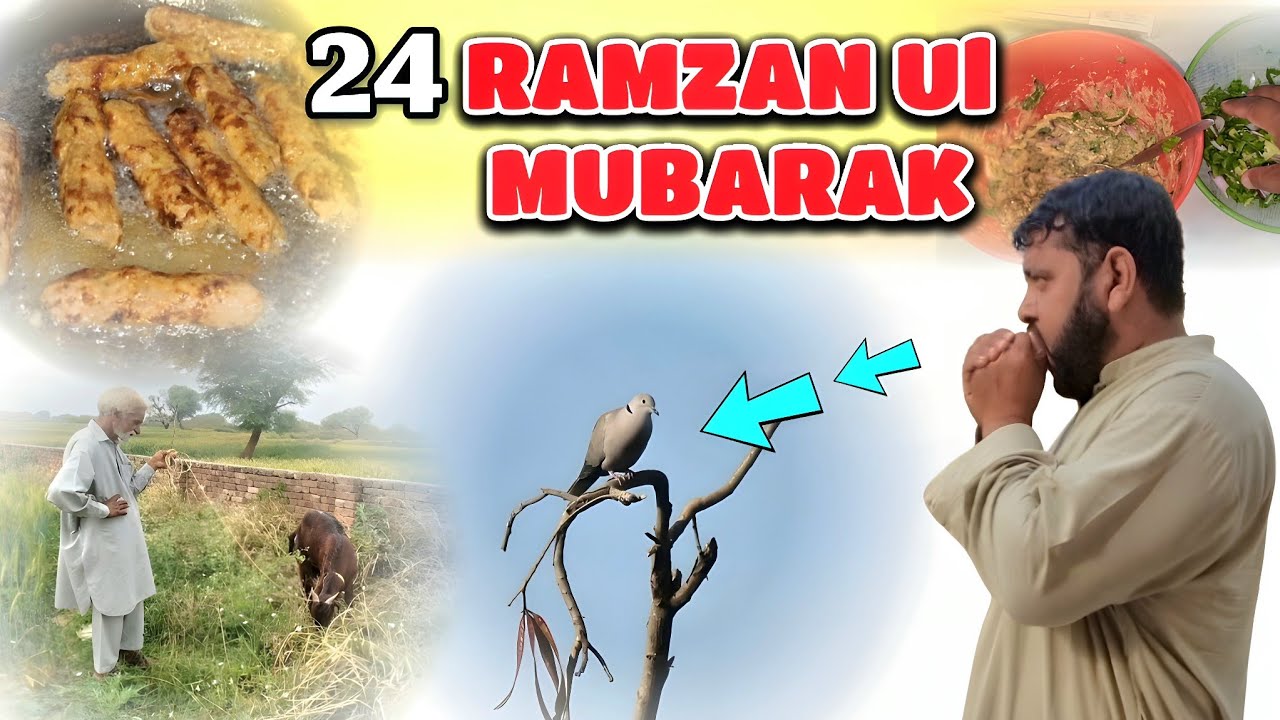 24 Ramzan Ul Mubarak Bhi Aaj Guzar Gaya | Village Vlog | Hammad Official