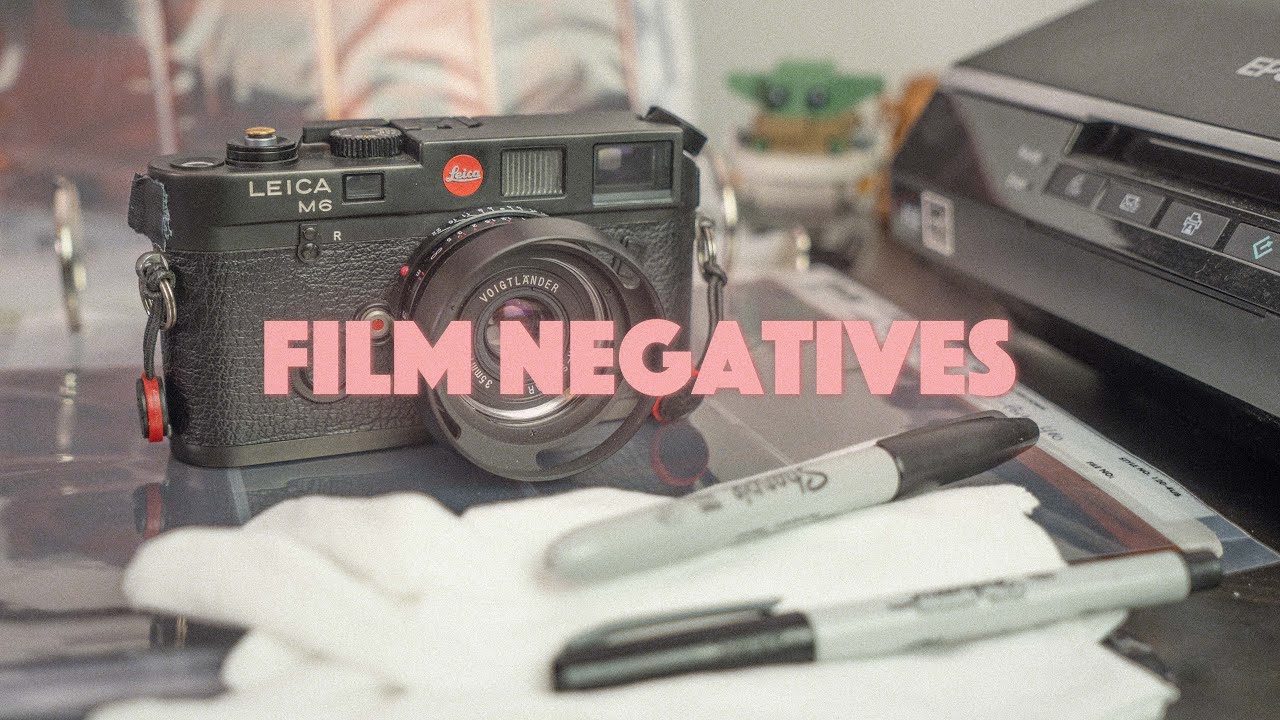 How to Organize Your Film Negatives