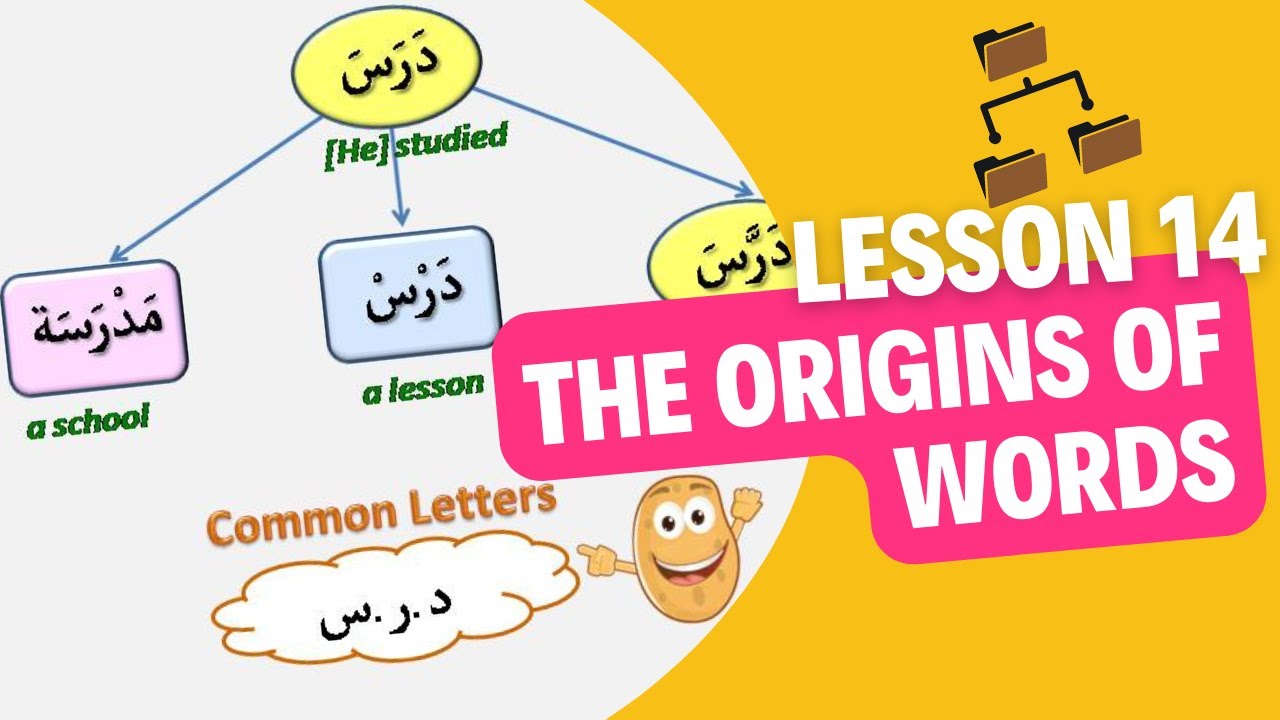 Level 2 - Lesson 14 - The root and pattern system - أصول الكلمات