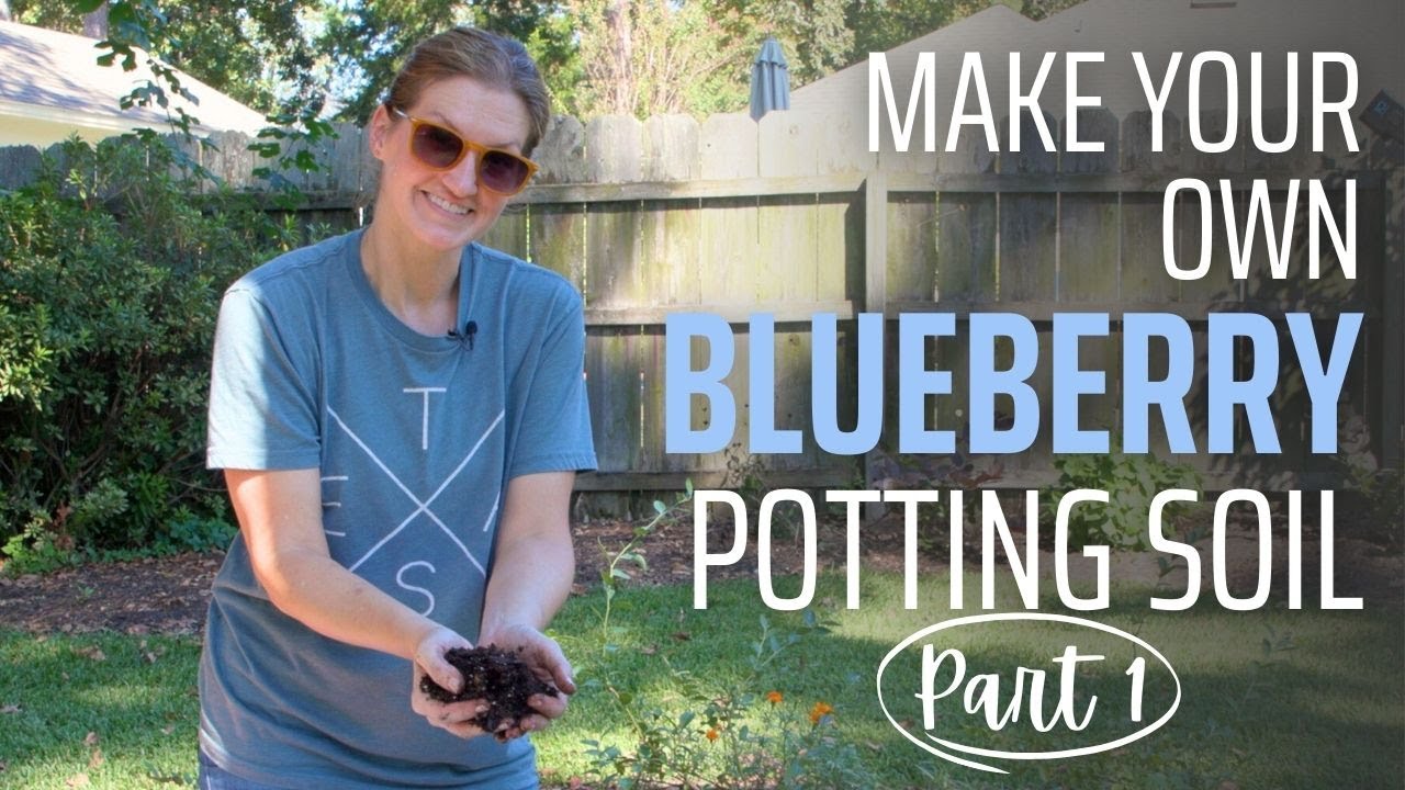 Blueberry Potting Soil PART 1 | Easy DIY Blueberry Potting Mix Recipe