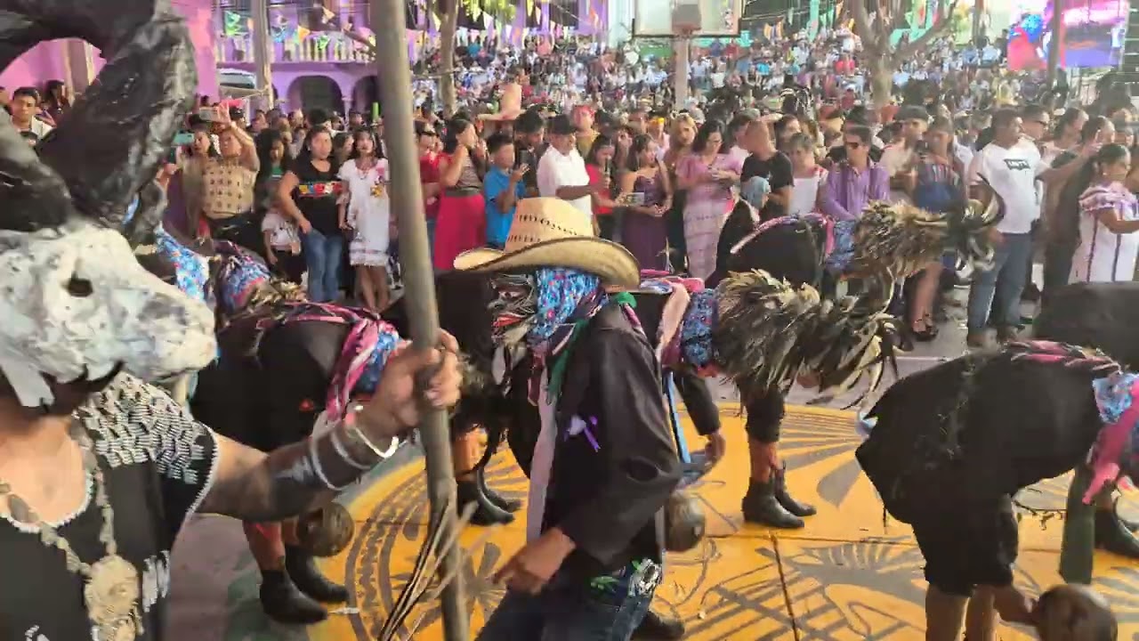Tejorones Pinotepa de Don Carnaval 2026 PT 2