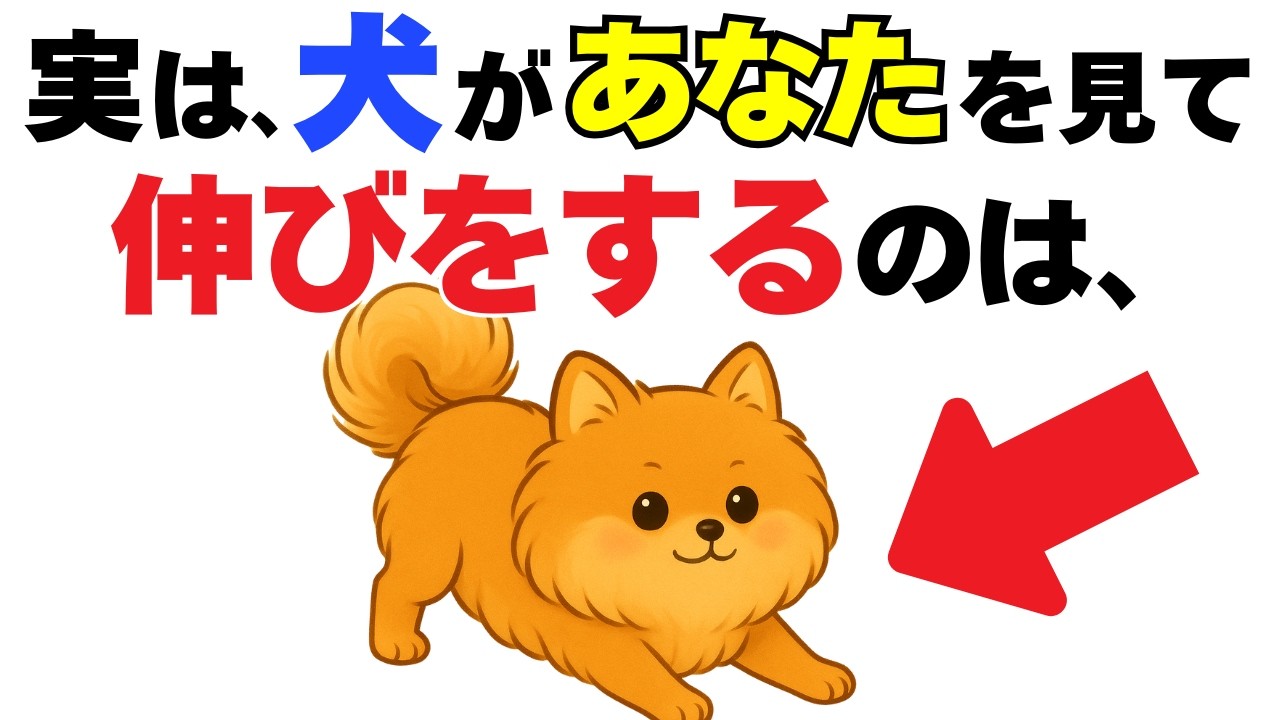 【9割が知らない!】犬のよくある行動に隠された本当の気持ち11選｜犬の厳選雑学