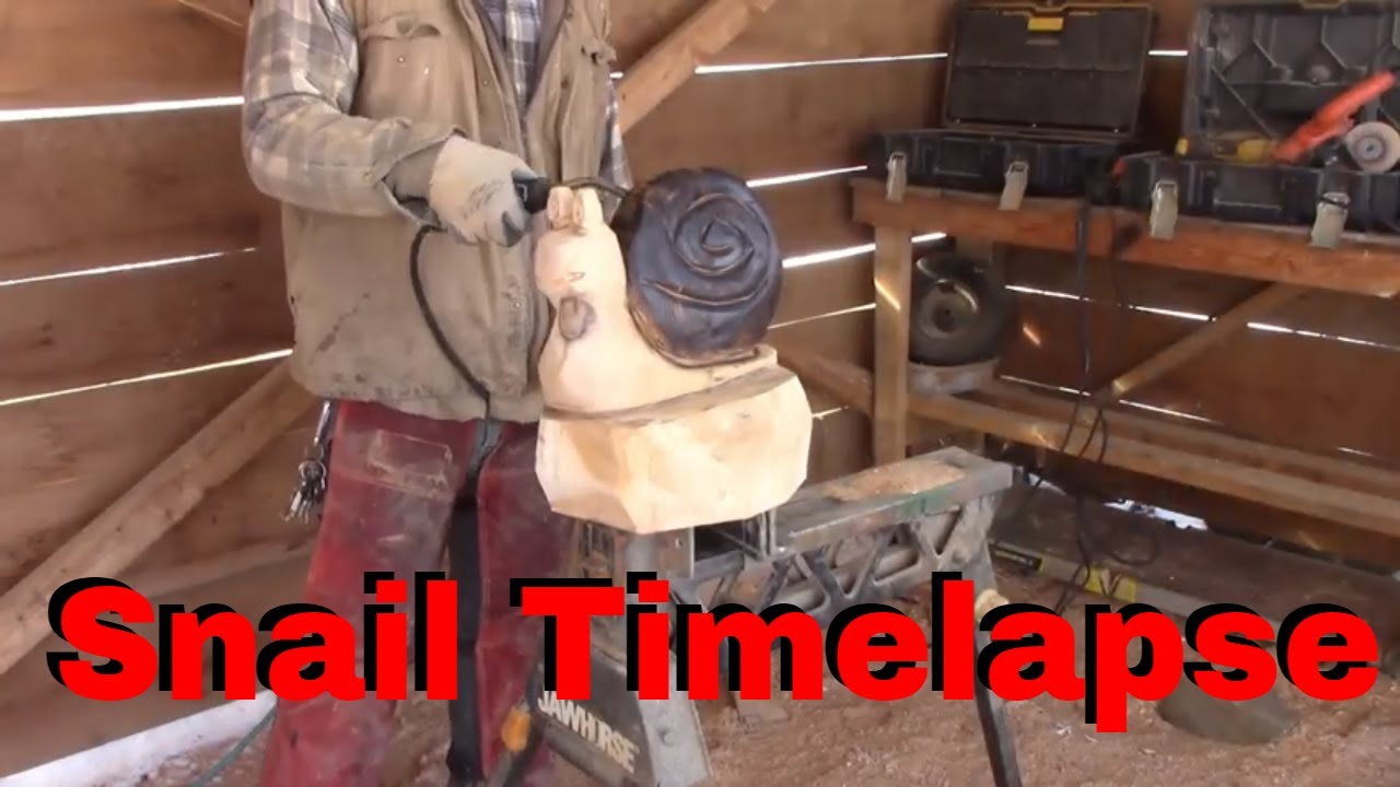 Snail chainsaw carving  (timelapse)