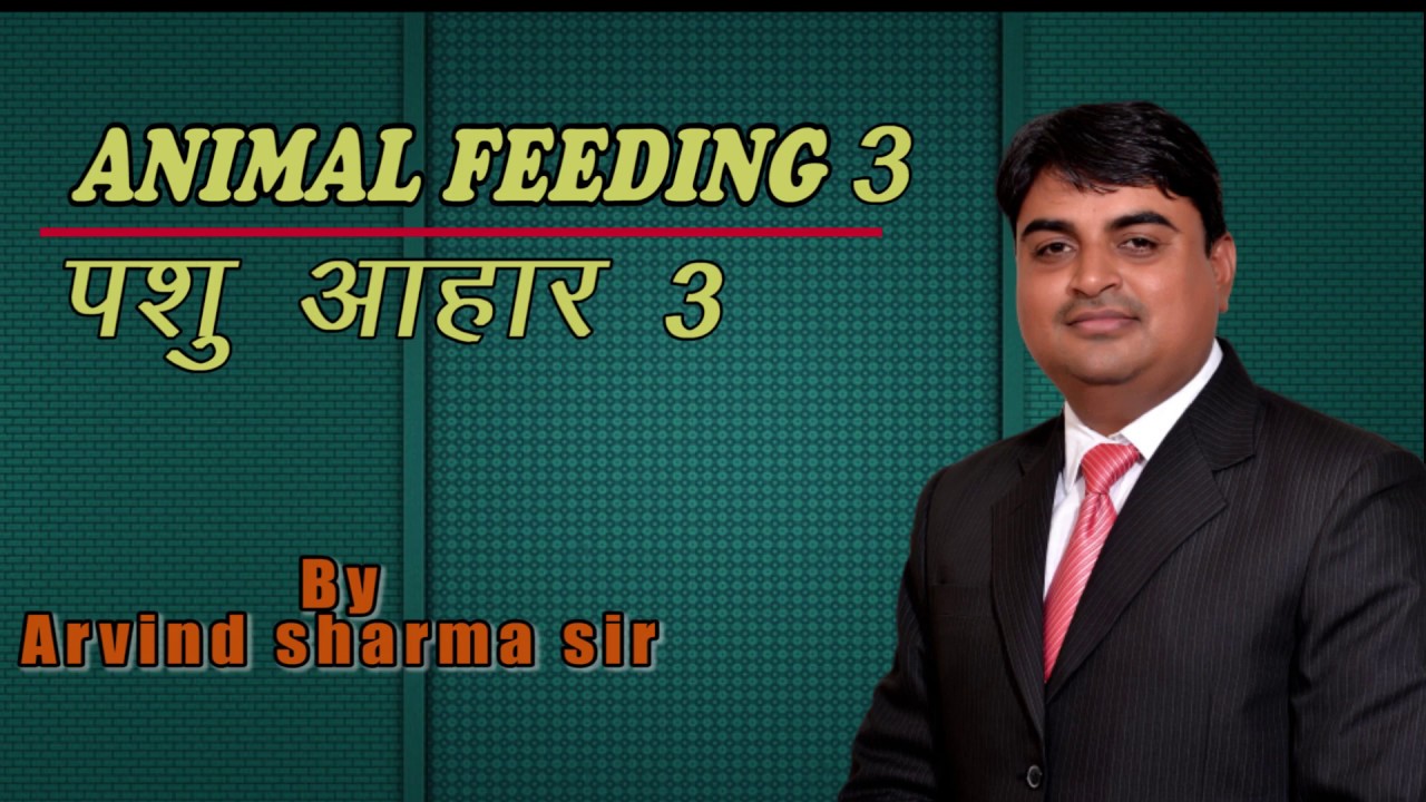 ANIMAL FEEDING 3 I CRASH COURSE I RAPID REVISION I MGCI