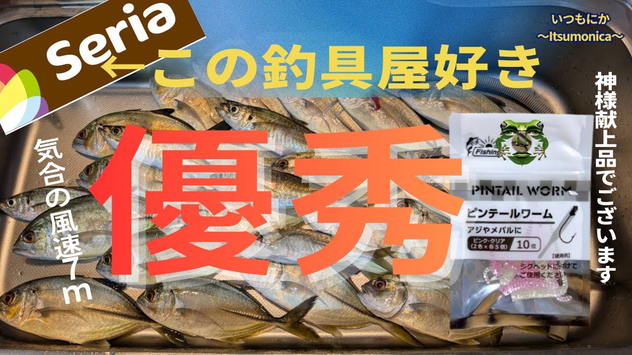 【嘘でしょ！？】冬アジングで〇〇〇爆釣！使ったのはセリアのコレだ