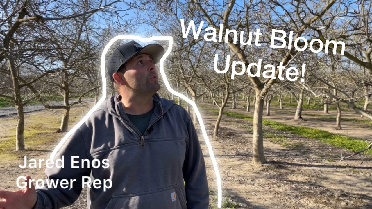 April Walnut Bloom News