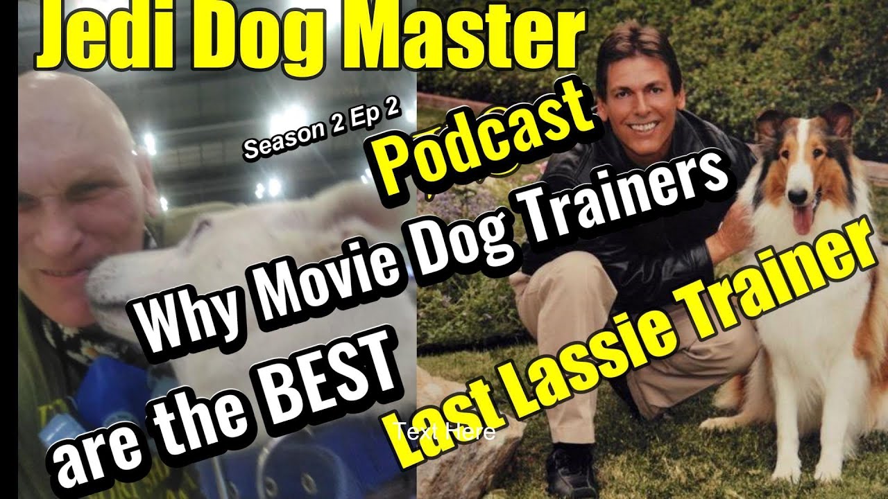"Secrets of TOP Movie Dog Trainers REVEALED! 🐶🎬 Unlock Their Pro Tips NOW! 