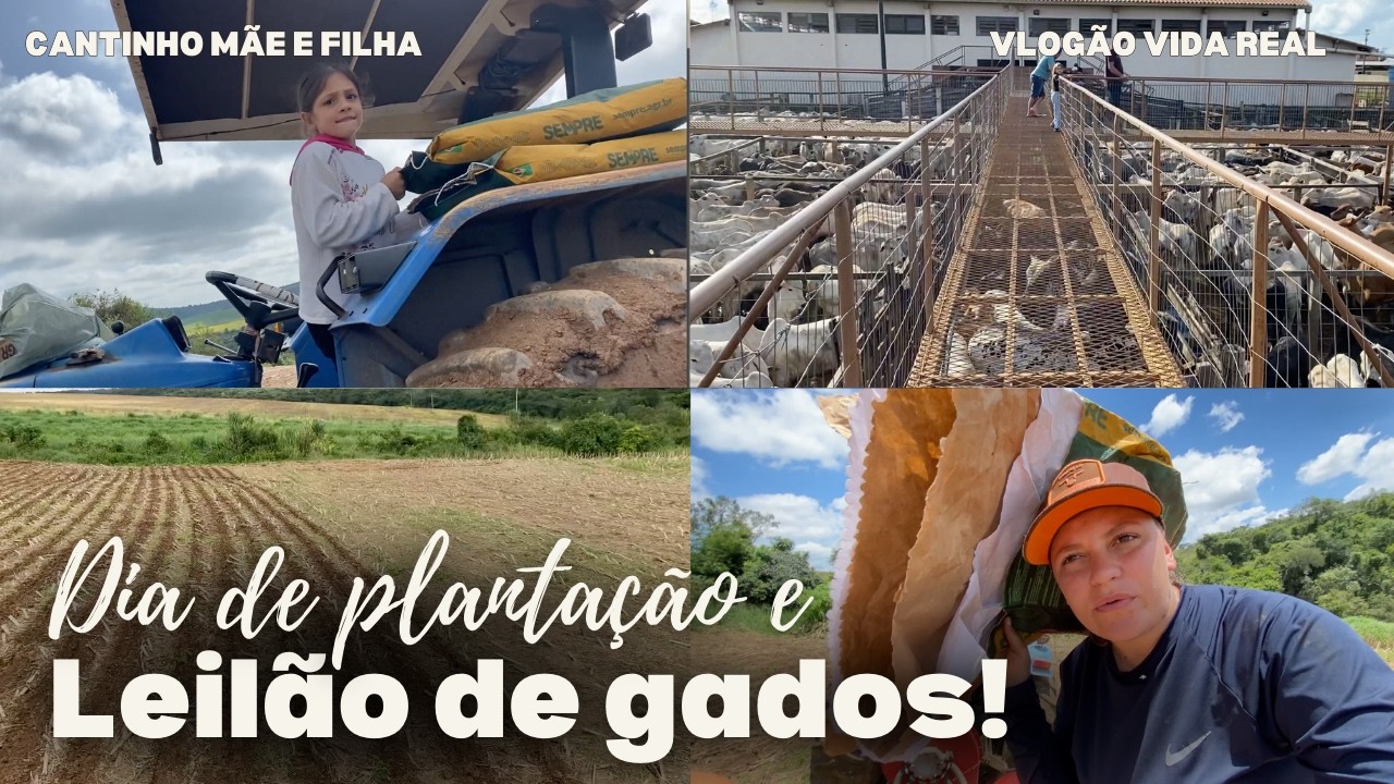 VEM VIVER UM DIA DE PLANTAÇÃO COM A GENTE | Fomos no leilão de gados!