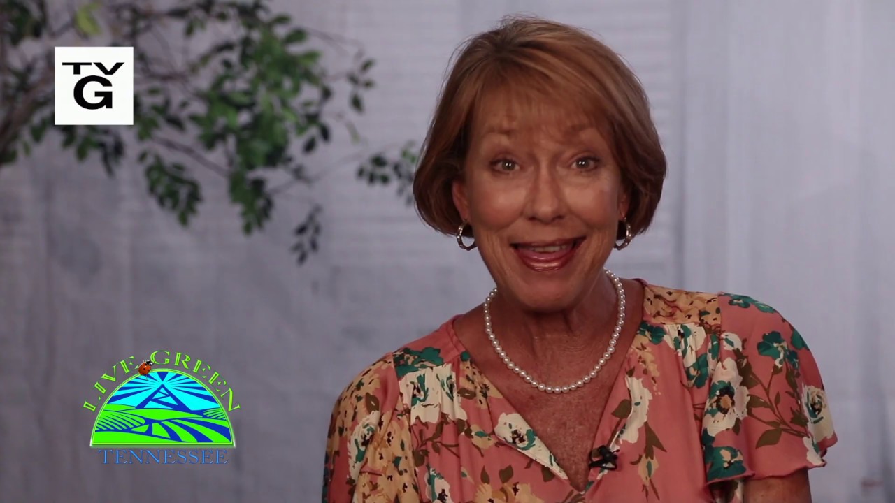 Live Green Tennessee | Season 12, Episode 4