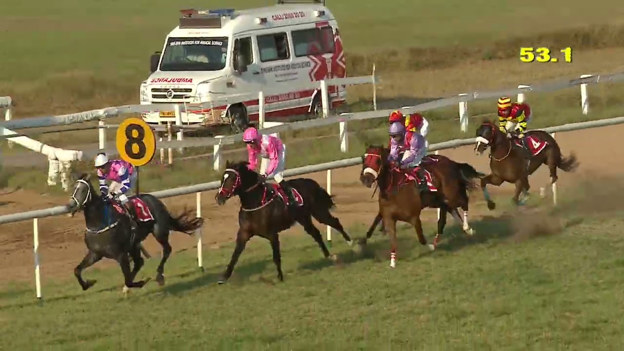 Race no : 205 -  Touch of grey Wins The Guindy Grand Prix (Gr.3)