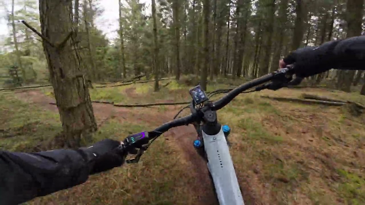MTB Møllebjergene Brøns Mølleskov