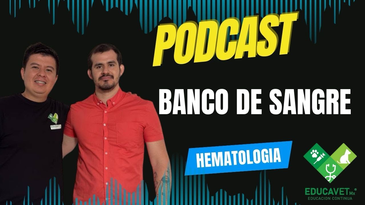 UN HUESPED SILENCIOSO (BANCO DE SANGRE) 004