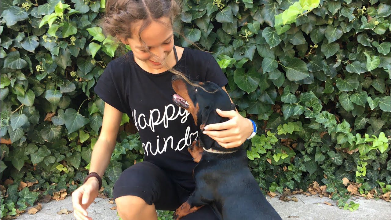 DAILY VLOG #17