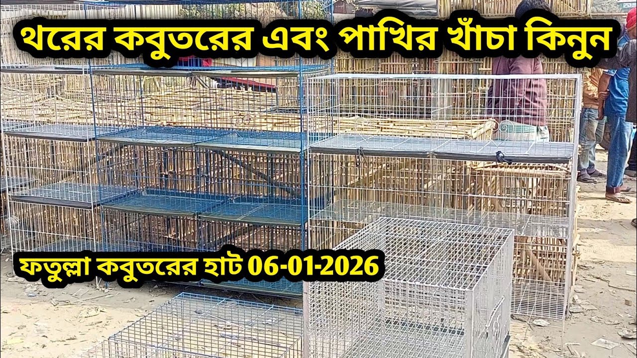 06-01-2026 থরের কবুতরের এবং পাখির খাঁচা কিনুন | কম দামে কবুতরের খাঁচা কিনুন | pigeon cage update bd