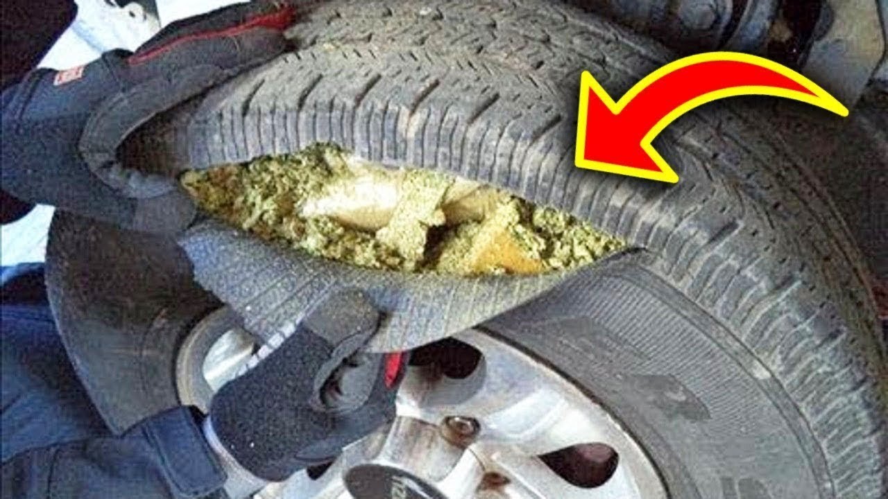 10 كنوز وجدت في أماكن غير متوقعة.. جعلت أصحابها أغنياء !!