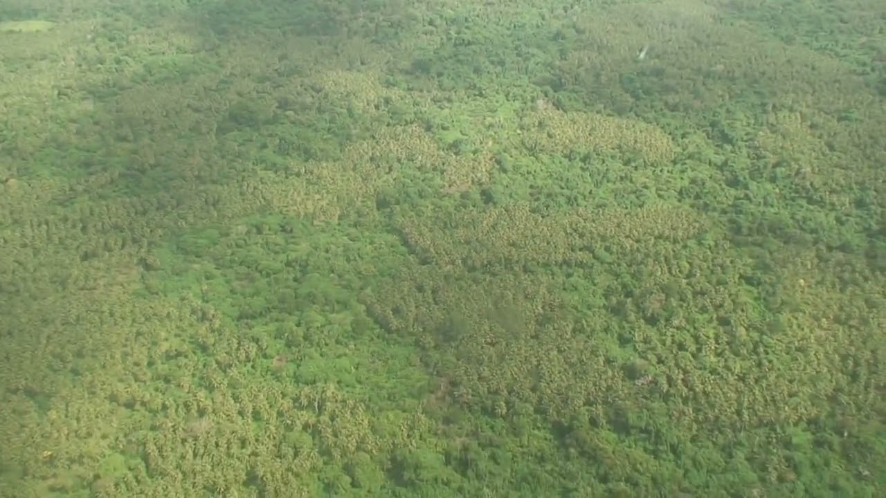 Ultimate Bush Pilot Vibes: Twin Otter Takeoff from Malekula, Vanuatu✈️