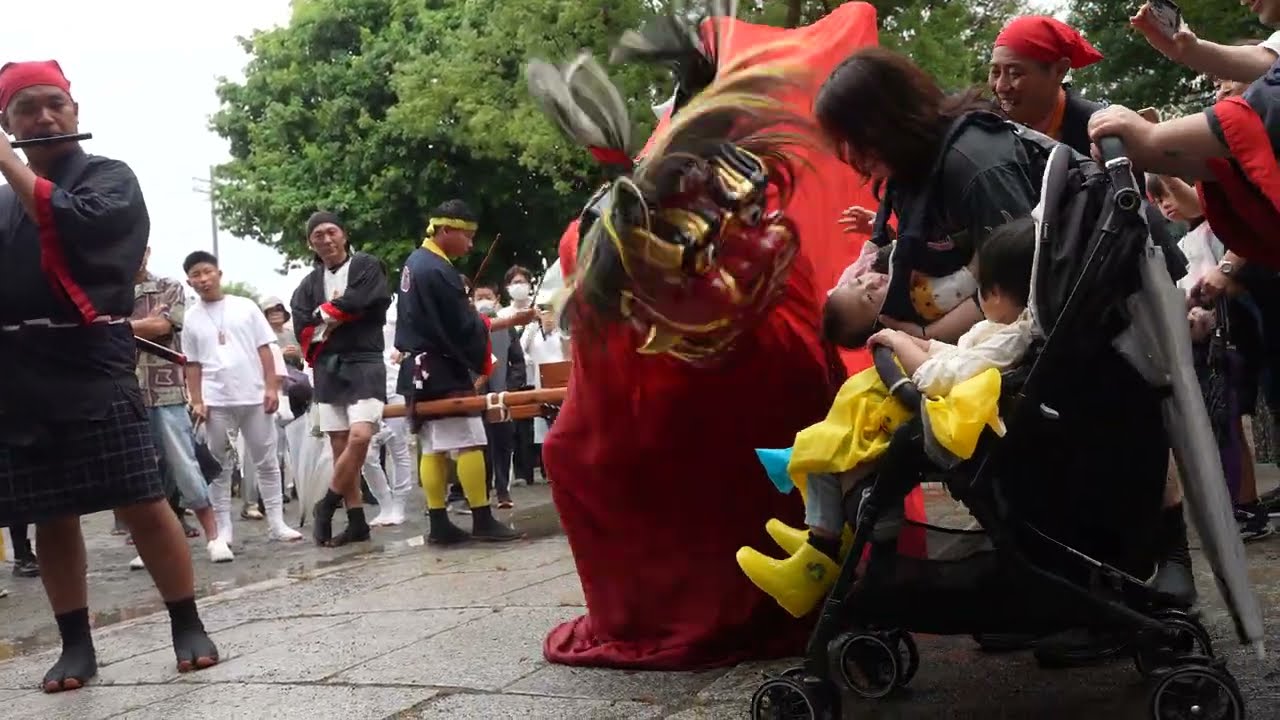 御坊祭り1/2 (中組, 島組) 2025/10/05(日), 和歌山県御坊市