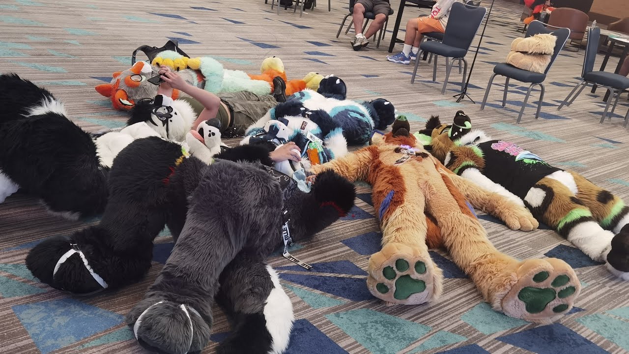 Megaplex 2024 live!