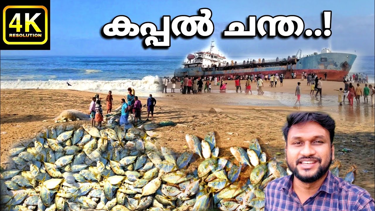 കപ്പൽ കരക്കടിഞ്ഞ സ്ഥലമിപ്പോൾ മീൻചന്ത..!! | kaakkathoppu beach in kollam | fish market in kollam