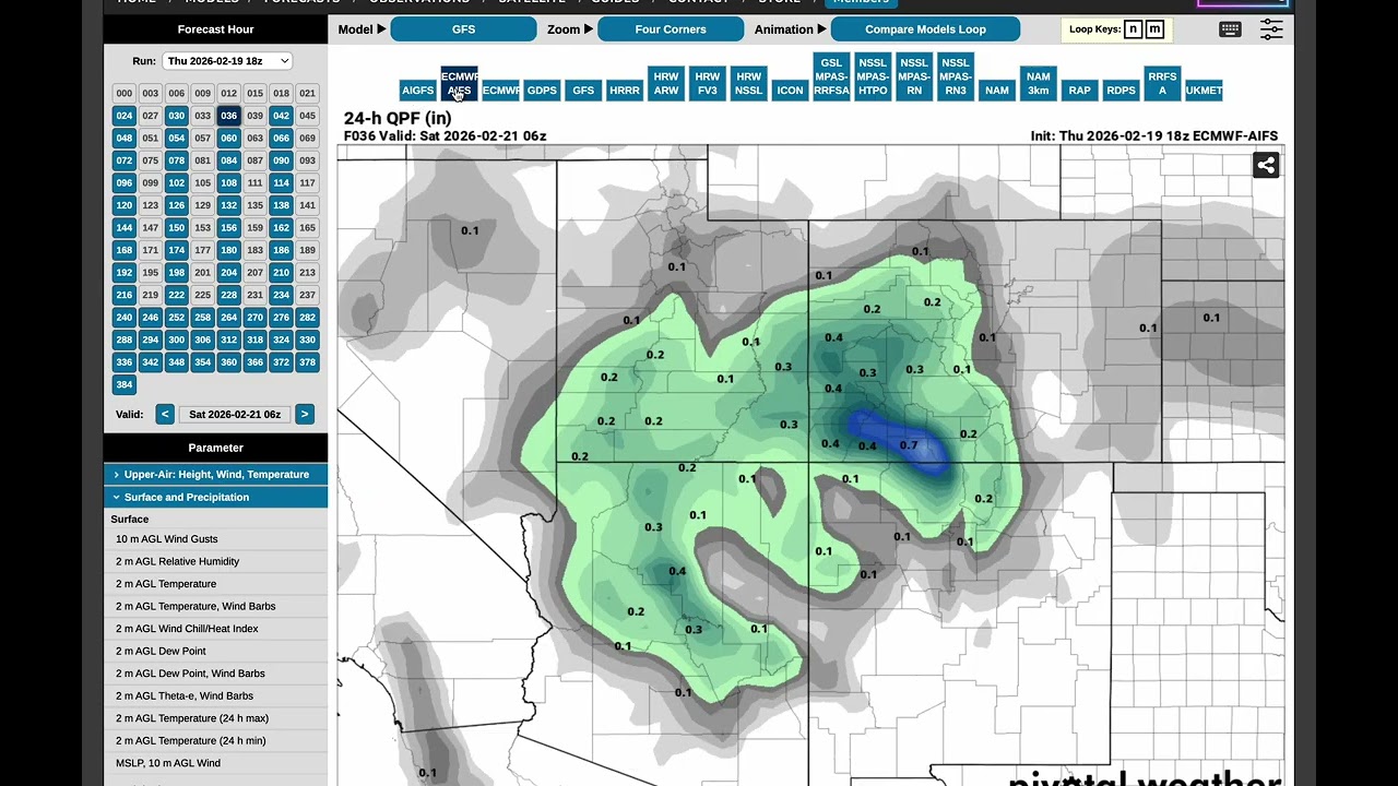 Getting every model's 24 hr QPF in Pivotal Weather - Pro Trick!