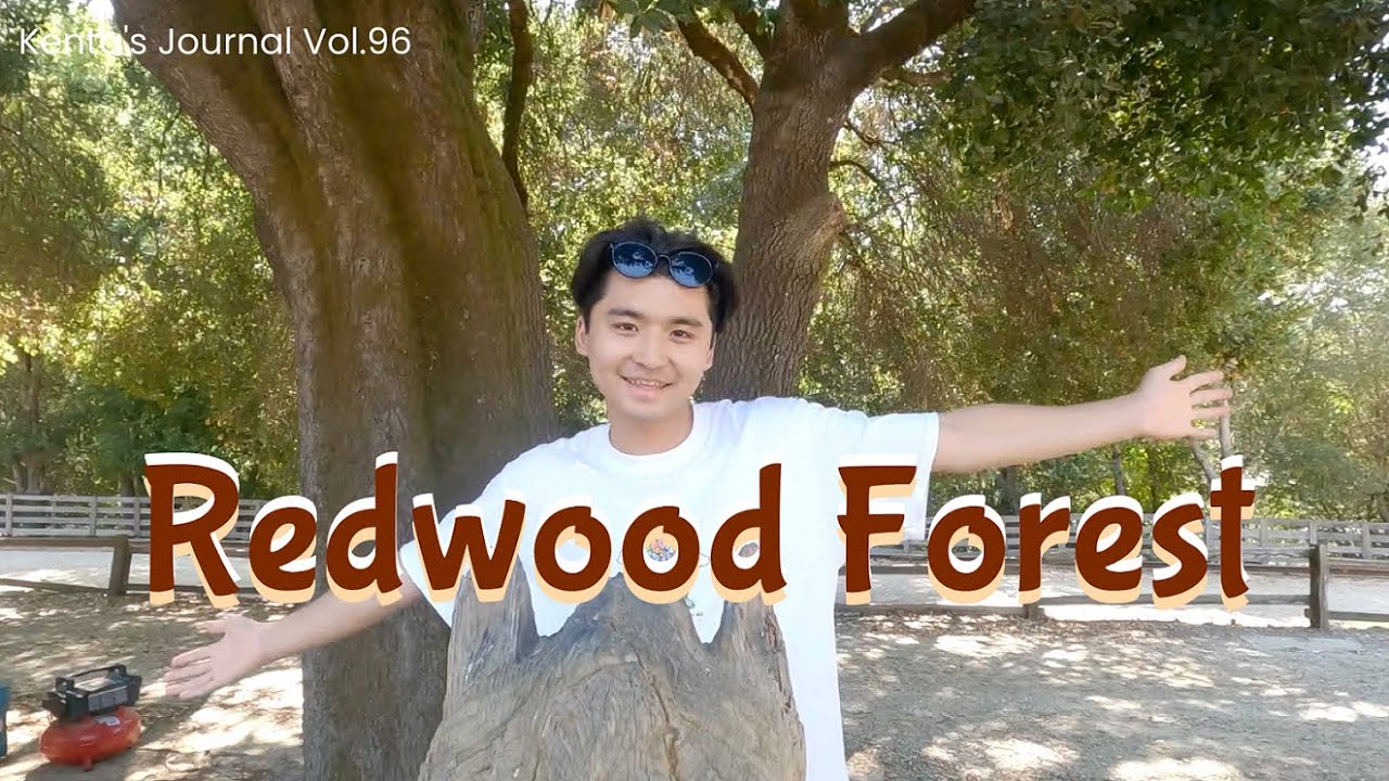 Kenta’s Journal Vol.96 悩みがちっぽけに思えてくる巨人の国〜Redwood Forest〜