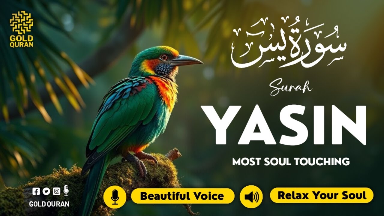 Peaceful Surah Yasin for Deep Sleep, Emotional Healing, & Stress Relief ✦ Surah Yaseen سورة يس