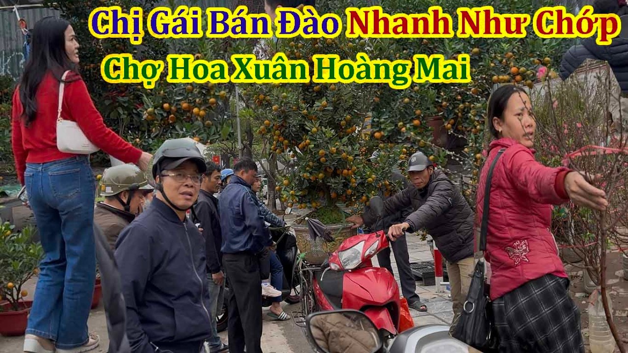 Xuân Bính Ngọ 2026 - Chị Gái Bán Đào Nhanh Như Chớp Nửa Tiếng Hết Xe Đào