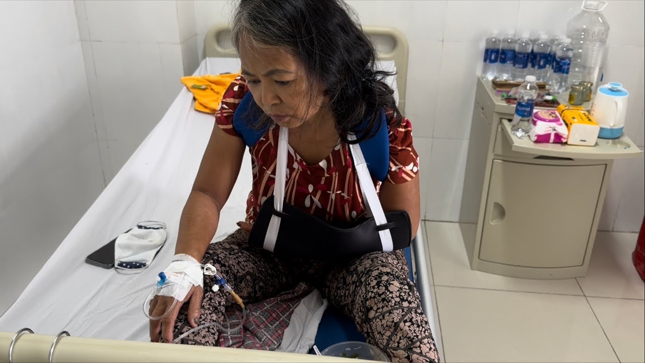 HK rơi vào bế tắc chuyện của Út và các bé chó mèo của Út.