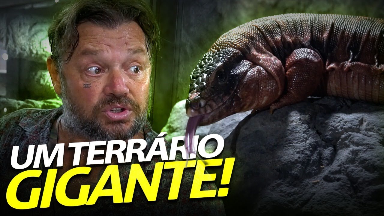 A NOVA CASA DOS LAGARTOS ESTÁ PRONTA! | A CASA DOS BICHOS