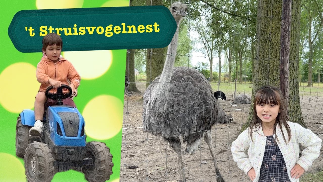 WE GAAN NAAR DE STRUISVOGELBOERDERIJ