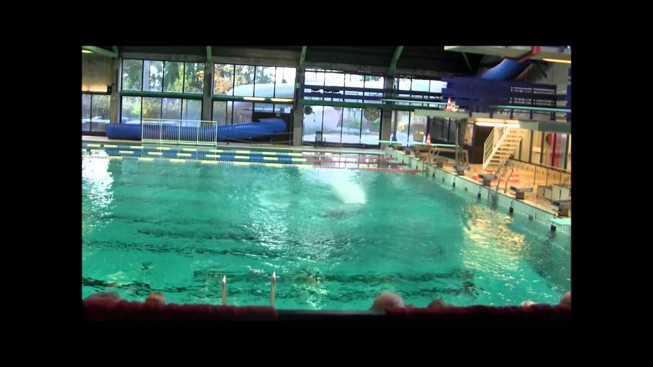 2011 NM (Beste stup), Norwegian Nationals (Best Dives)