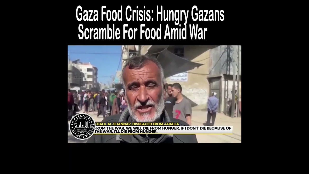 Gaza Food Crisis: Hungry Gazans Scramble For Food Amid War 