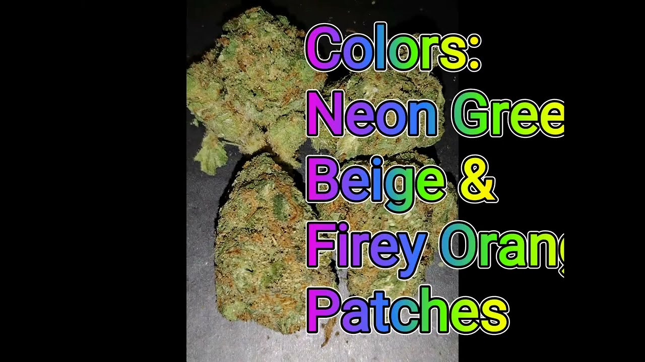 Moonshine Haze ( 80/20 SH) Strain Review-Budpedia