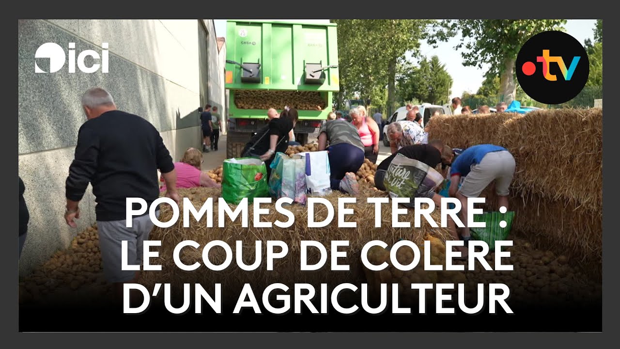 Ses Pommes de terre sont refusées par McCain, cet agriculteur en colère les vend à prix cassé.