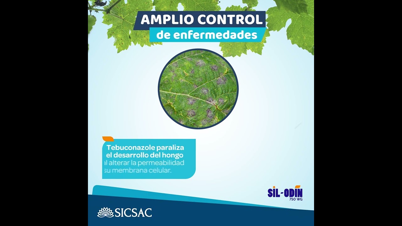 FUNGICIDA AGR&Iacute;COLA SIL ODIN - SICSAC