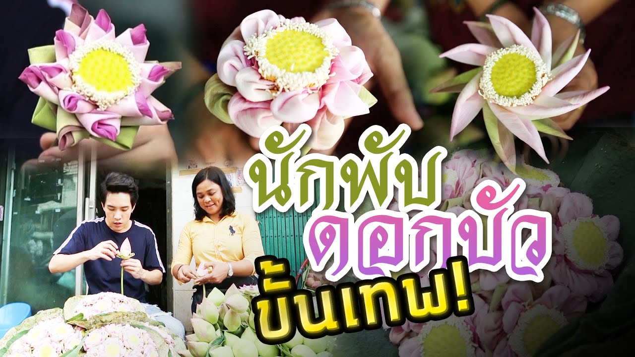 นักพับดอกบัว | ไทยทึ่ง WOW! THAILAND