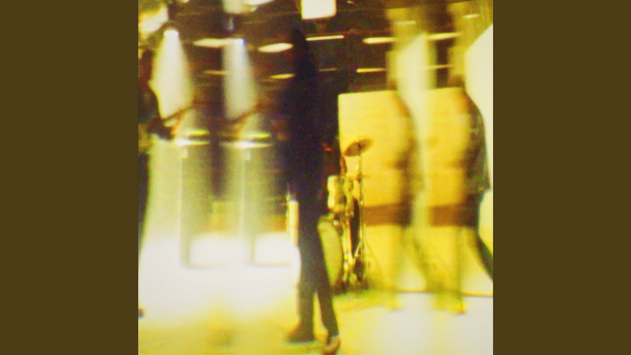 Into The Wild (Preview)