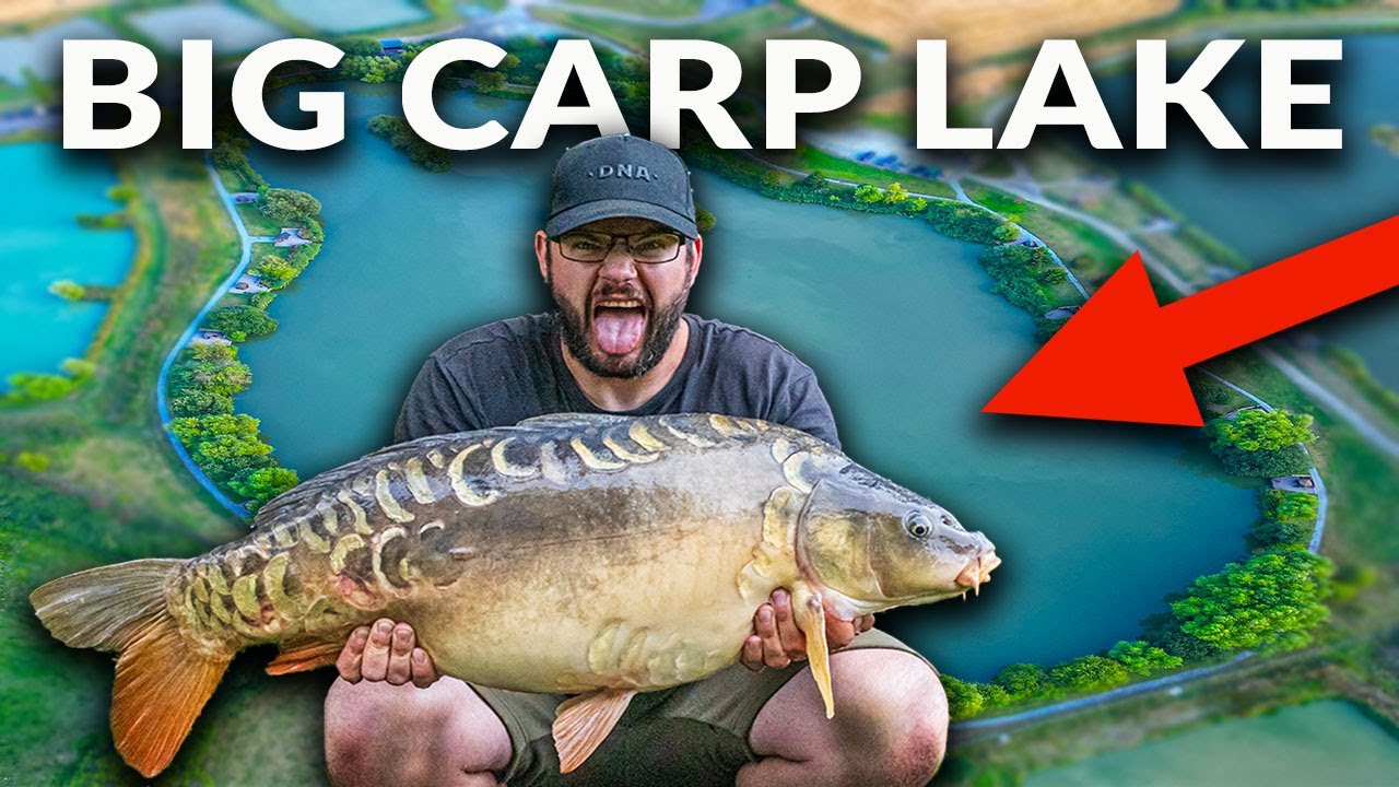 Hunting BIG Day Ticket Carp - THIS WAS EPIC!