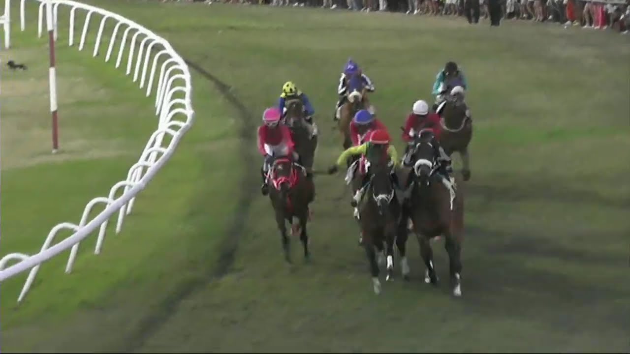 BTC RACE DAY 1ST MAR  RACE 8
