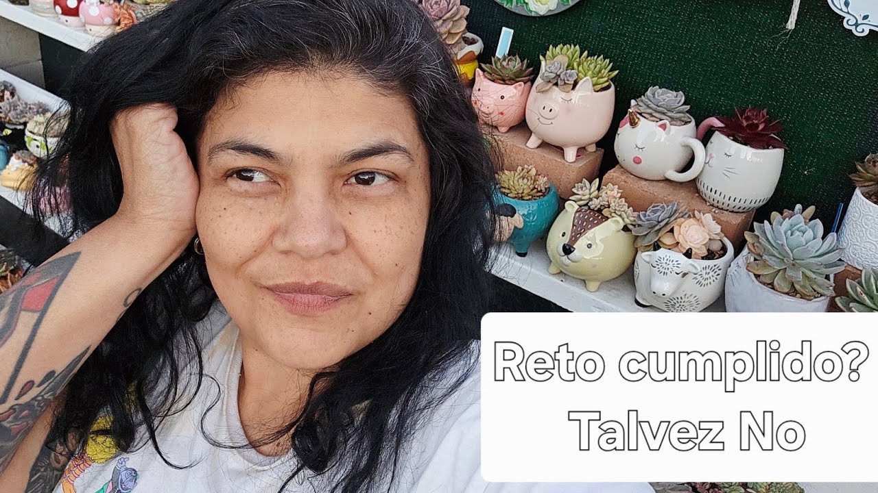 Reto aceptado! Tur por mi jardin suculento 
