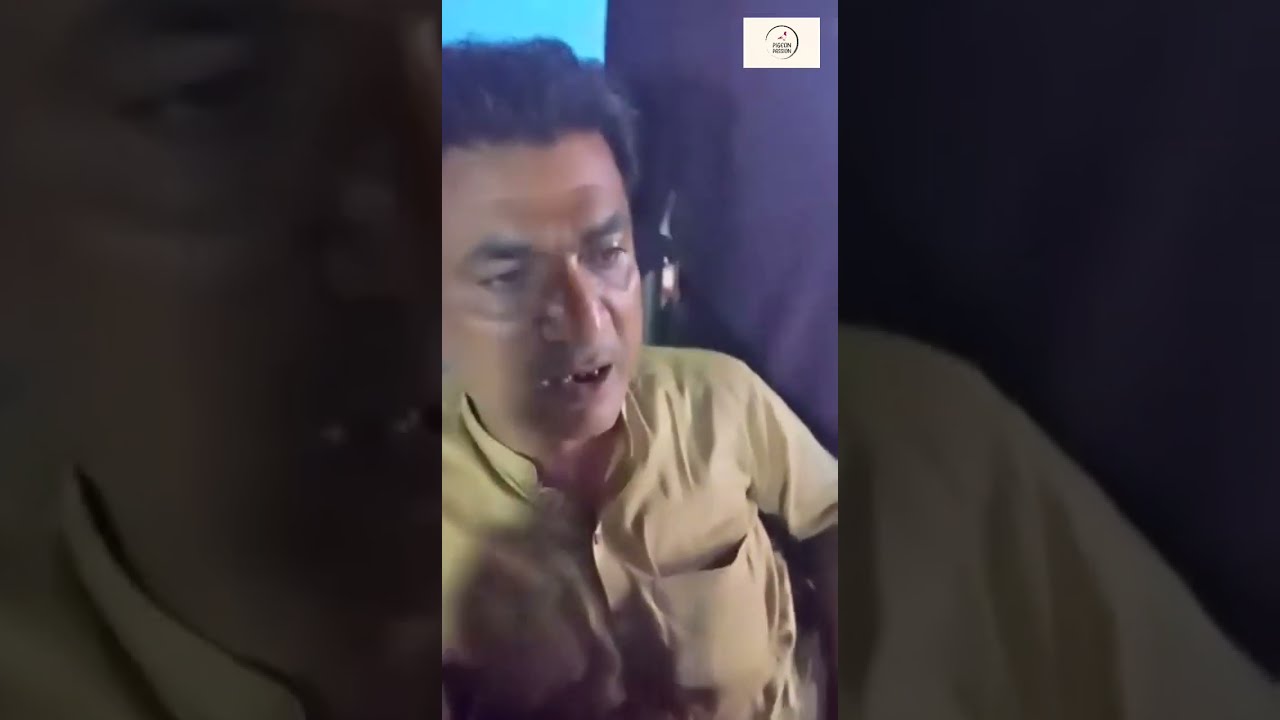 1st Uran Shagird ustad Haji Muhammad Yousuf mir Asif ke 8 kabootar  urte huwe rat ko